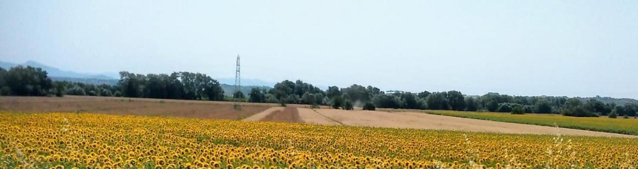 Splendido Ampio Appartamento A Montepulciano Stazione 外观 照片