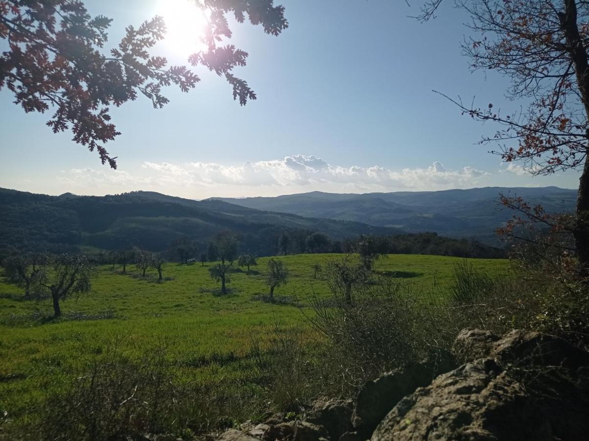 Splendido Ampio Appartamento A Montepulciano Stazione 外观 照片