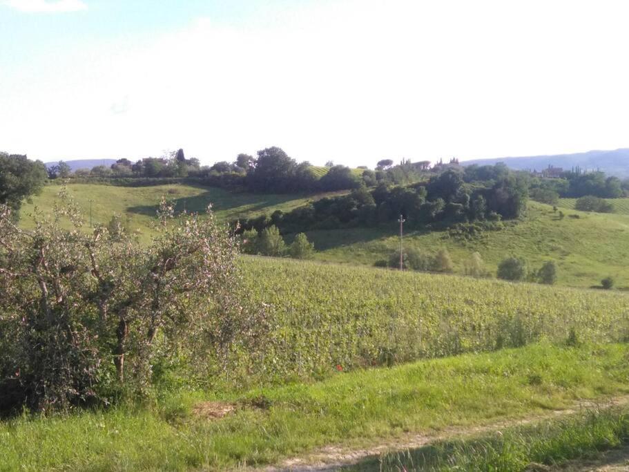 Splendido Ampio Appartamento A Montepulciano Stazione 外观 照片